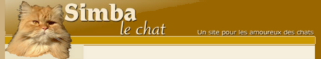 Site de Simba consacr� � ses chats avec un super forum